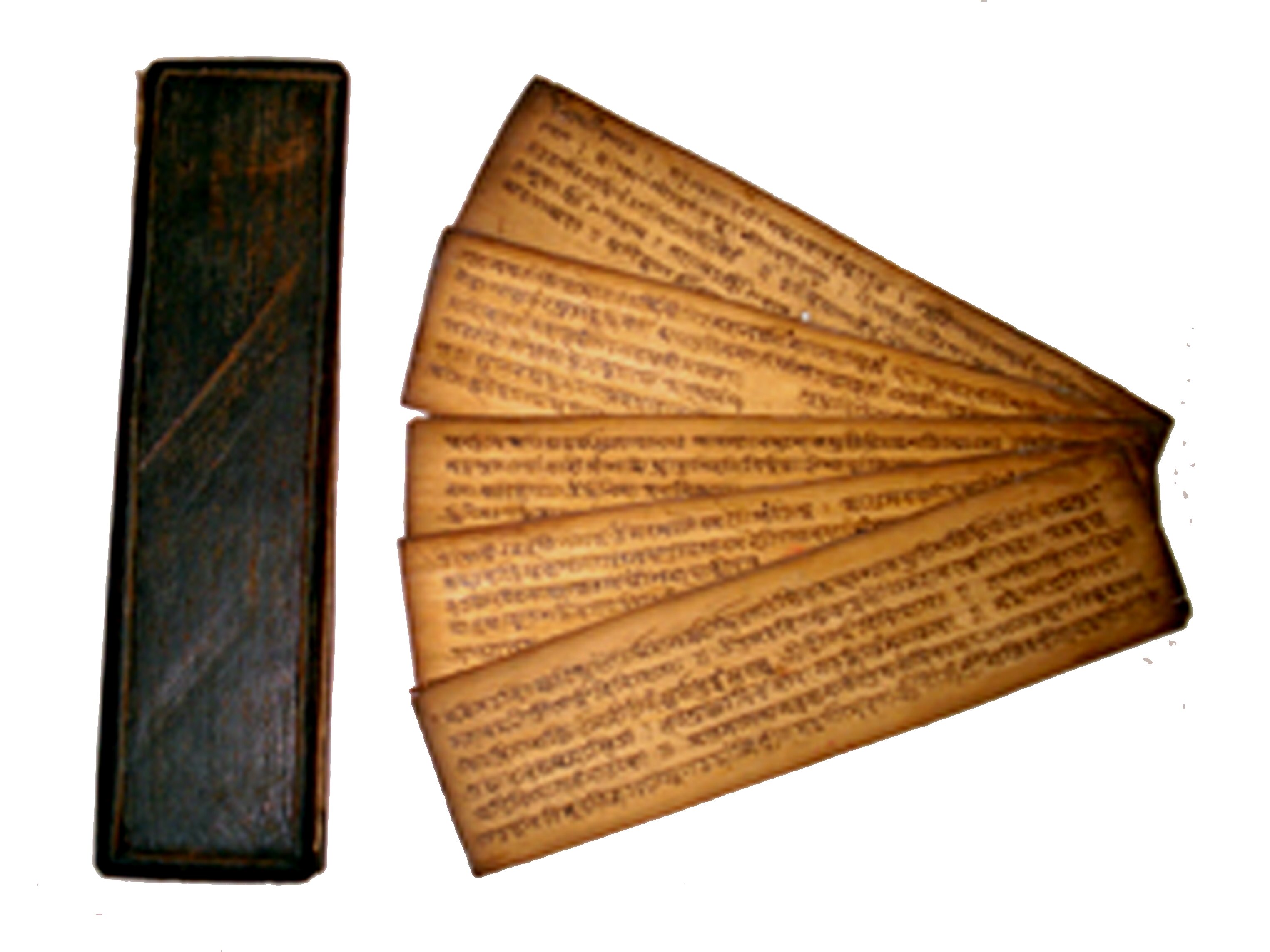 Manuscript Conservation & Digital Archive Project