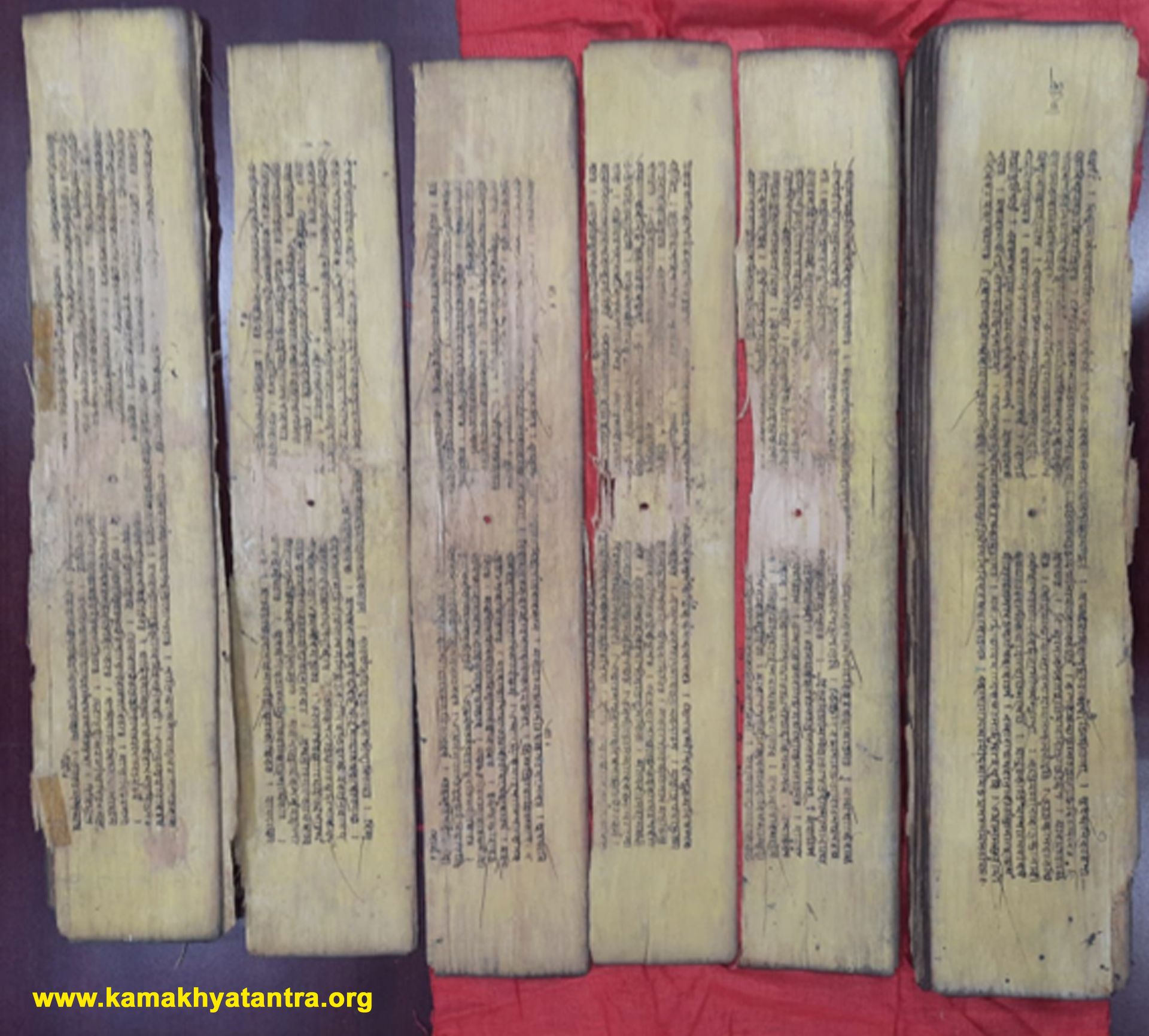 Archive Manuscript 10