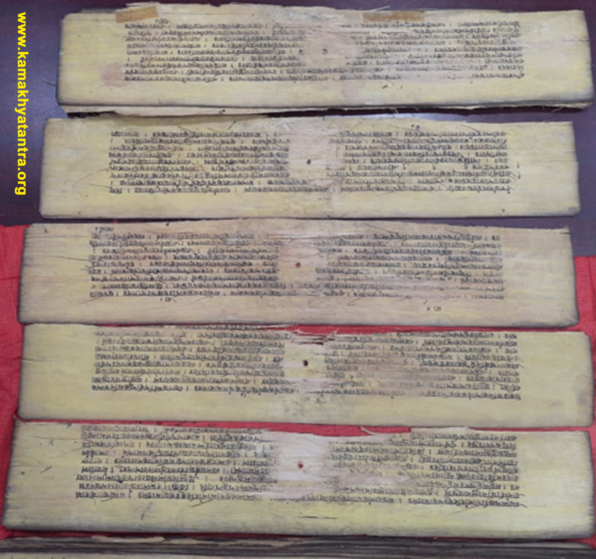 Archive Manuscript 11
