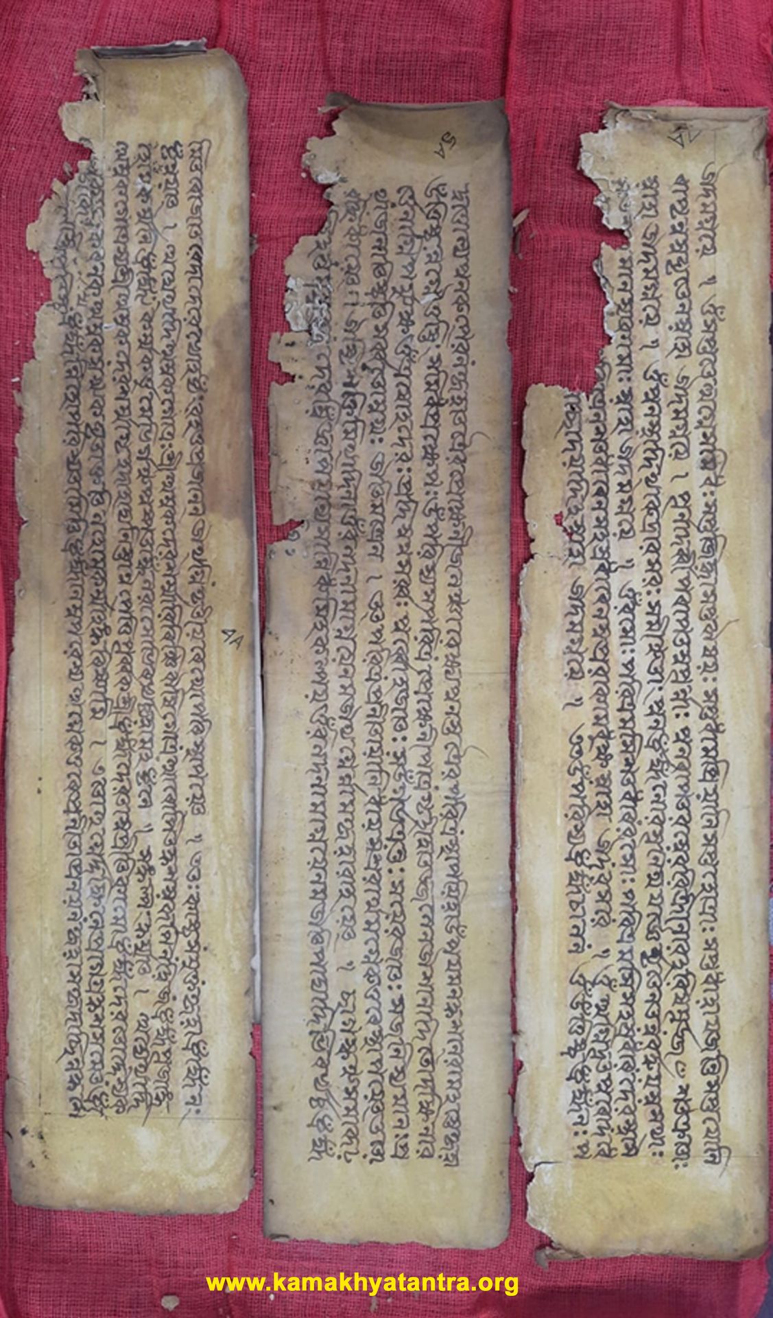 Archive Manuscript 12