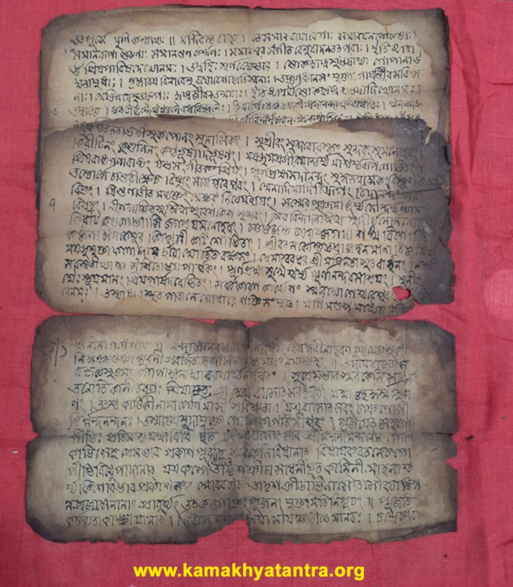 Archive Manuscript 13