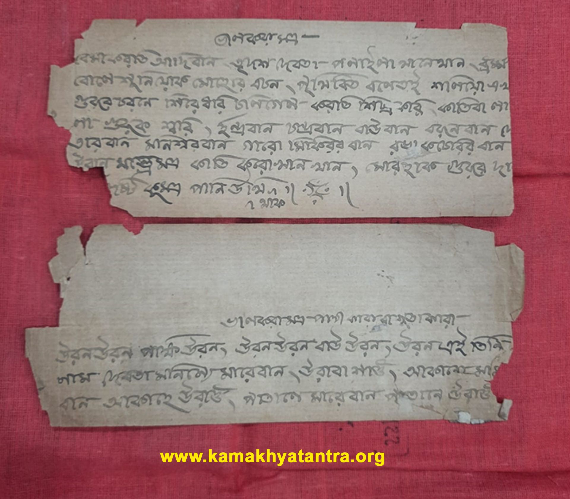 Archive Manuscript 14