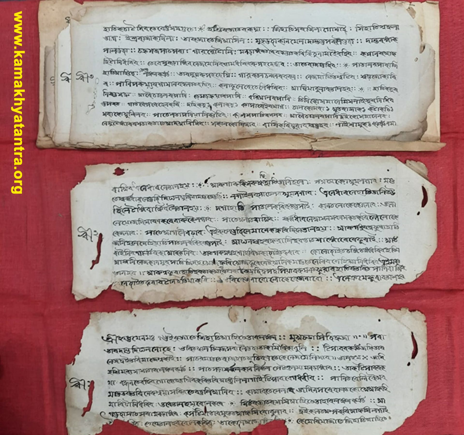 Archive Manuscript 15