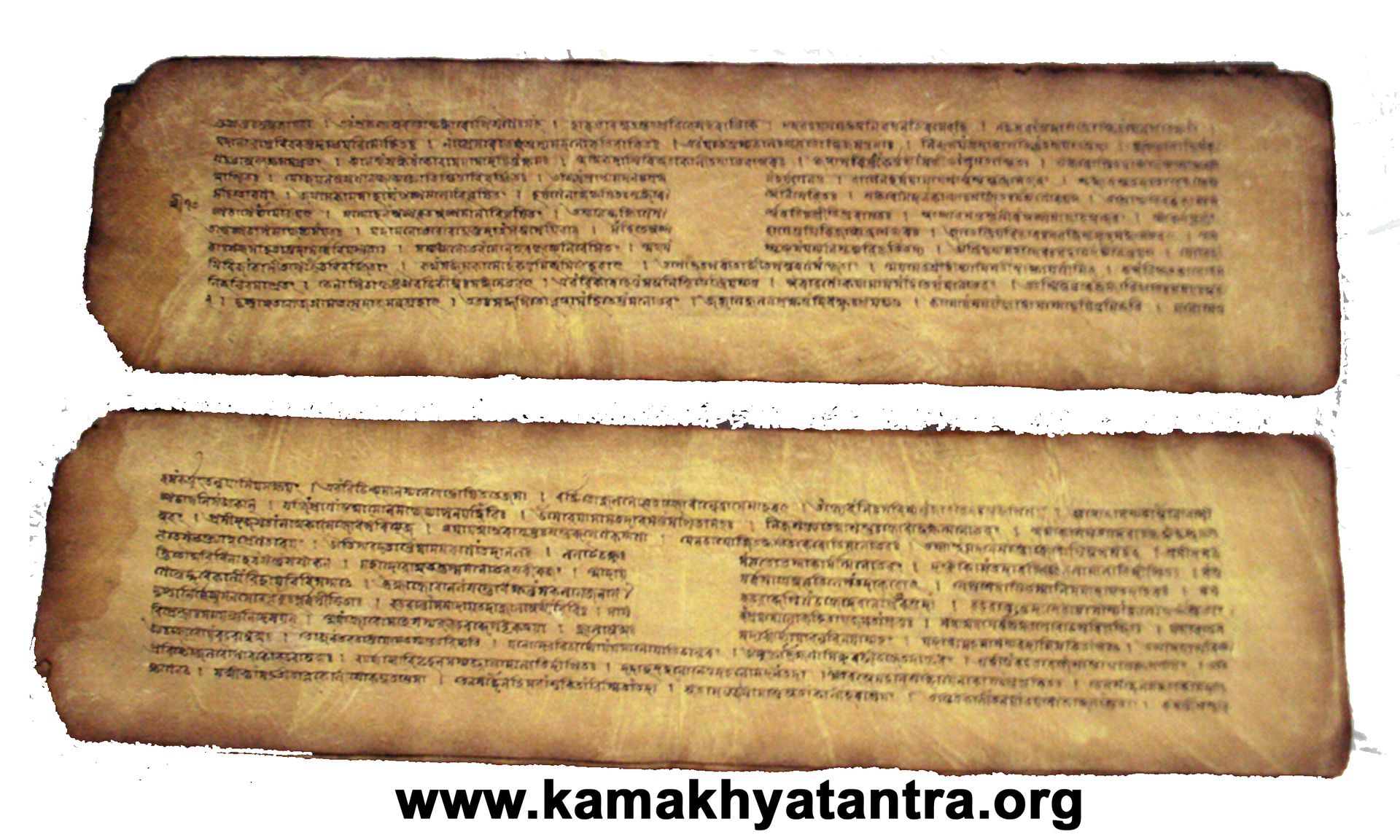 Archive Manuscript 3