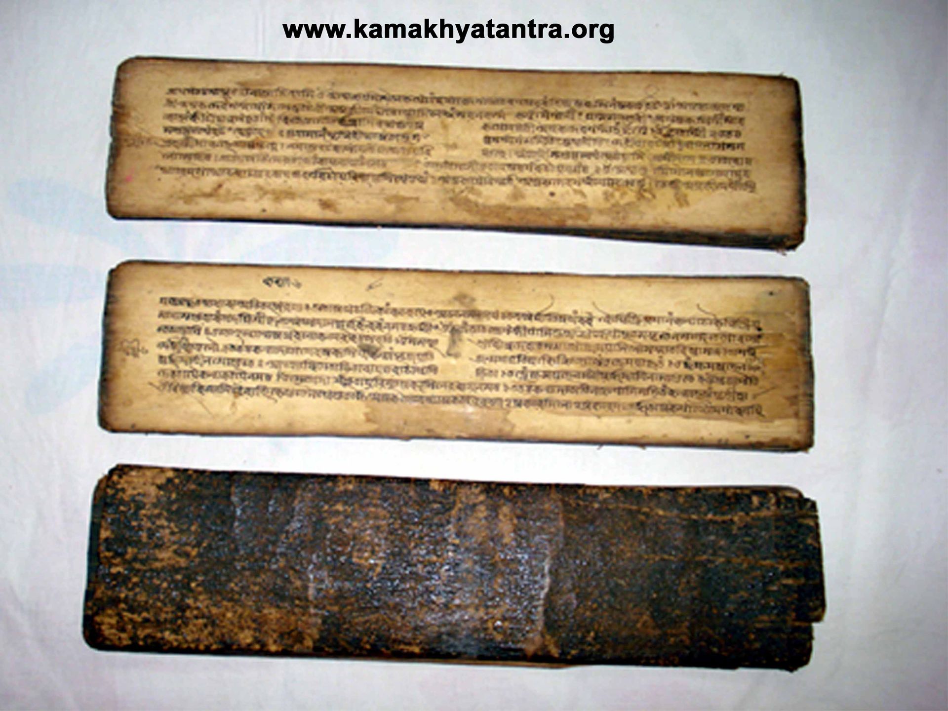 Archive Manuscript 7