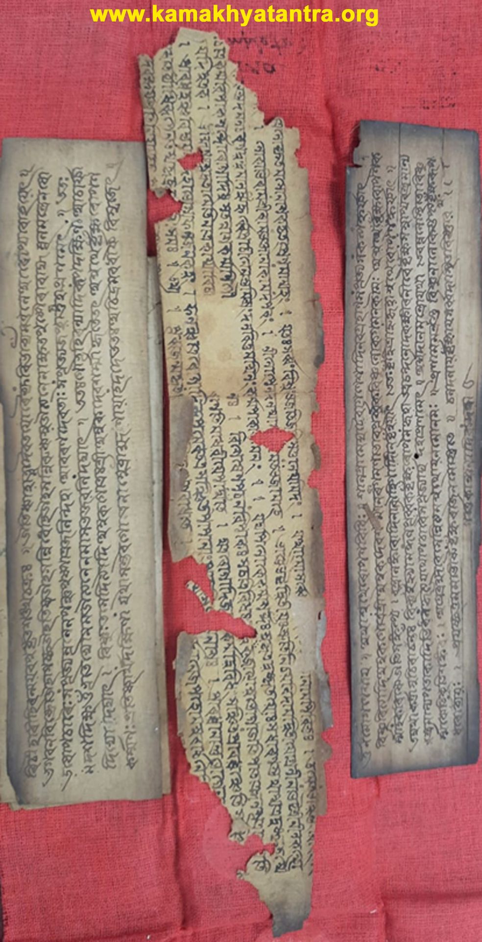 Archive Manuscript 9